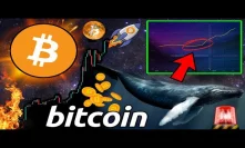 You Won’t BELIEVE What BITCOIN Whales Have Been Doing! Don’t Get Left Behind! 