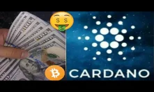 Cardano Bullrun On The Horizon Make No Mistake We Will See One Hundred Thousand Dollar Bitcoin