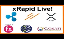Ripple xRapid Live! 3 Financial Institutions To Use XRP! - Malta Prime Minister United Nations