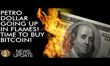 Petro Dollar Going Down In Flames - Buy Bitcoin