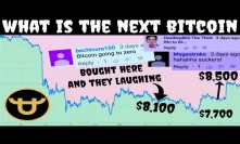 What is the next bitcoin ? | 100x Leverage Exchange (BitForex)