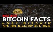 The BIGGEST Bitcoin HACK in History | 184 Billion BTC BUG | Lost BTC