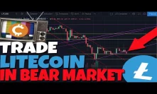 THE BEST ADVICE FOR LITECOIN HODLERS IN A BEAR MARKET. DOGECOIN LOOKS PROMISING
