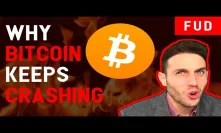 The REAL reasons why Bitcoin crashed & what can (actually) cause the next crypto bull run