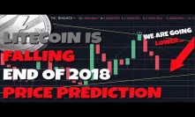 MUST WATCH: What Will Litecoin Be Worth At The End of 2018 - Mysterious LTC Transaction