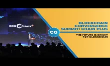 Blockchain Convergence Summit Chain Plus 2019 highlights
