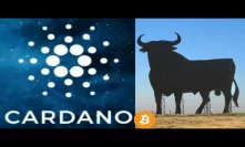 The Cardano Bullrun Might Surprise Bitcoiners Who Have Been Distracted By BTC