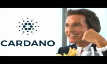 In April ADA Could Rise! Shelly Is the Next Phase $2 Cardano Potential