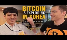 Bitcoin Adoption in Korea is Exploding ????????????Crypto Exchanges Adopt Bitcoin Cash |Roger Ver Vlog 5
