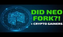 Did NEO Fork?! Plus VeChain, NANO, Cortex - Today's Crypto News