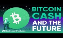 Interview with Roger Ver on The Future of Bitcoin Cash - Bitcoin.com Features