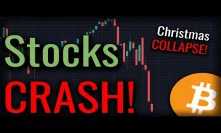 Stock Markets CRASH! Recession Imminent? Bitcoin Recovering?