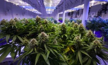 Pot Publication High Times Now Says It Won't Accept Bitcoin in IPO