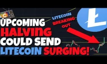 THIS IS HUGE: Upcoming Litecoin Halving Could Ultimately Send LTC Surging...