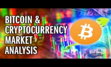 Bitcoin and Crypto absolutely PUMPS! Bull run imminent? 