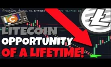 Litecoin Bear Market Bottoms: THE OPPORTUNITY OF A LIFETIME