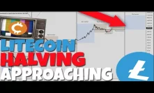 Litecoin's Upcoming HALVING May Trigger MAJOR Bull Market