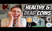 DEV REPORT: Which Cryptocurrencies are Dying & Which are Healthy