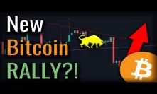 Bitcoin CRASHED! - The Next Phase Of The Bull Market Has BEGUN! - Where Will Bitcoin Bounce?.