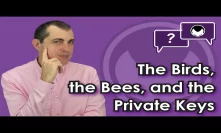Bitcoin Q&A: The birds, the bees, and the private keys