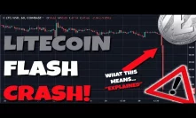 Litecoin Flash Crash! What this Means & Where We Are Headed...