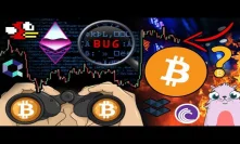 Bitcoin Whale says NOW is the Time to Buy $BTC?! Ethereum Bug Discovered! BitTorrent Lawsuits