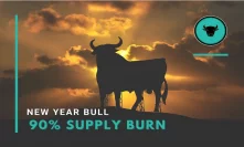 New Year Bull – More Value to Users With 90% Supply Burn