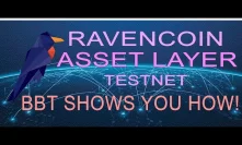 Ravencoin Asset System - Public, Permissionless, Asset Creation