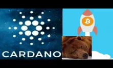 Bitcoin Bears Will Be Caught Off Guard When Cardano ADA Bullrun Gets Going