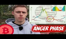 Bitcoin Market Cycles: We're in Anger Phase