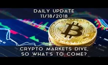 Daily Daily Update (11/18/18) | Crypto markets take a heavy hit, so what's next?