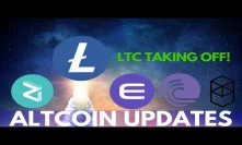 Litecoin Price Surge! Fantom, Enjin, Zilliqa, RavenCoin, and More - Altcoin Updates