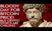 Bitcoin Price Bloody Day, But Crypto Stoics are CHILLING