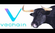 $1 VeChain Bullrun Analysis Of Blockchains Overhaul of Designer Brand ecosystem