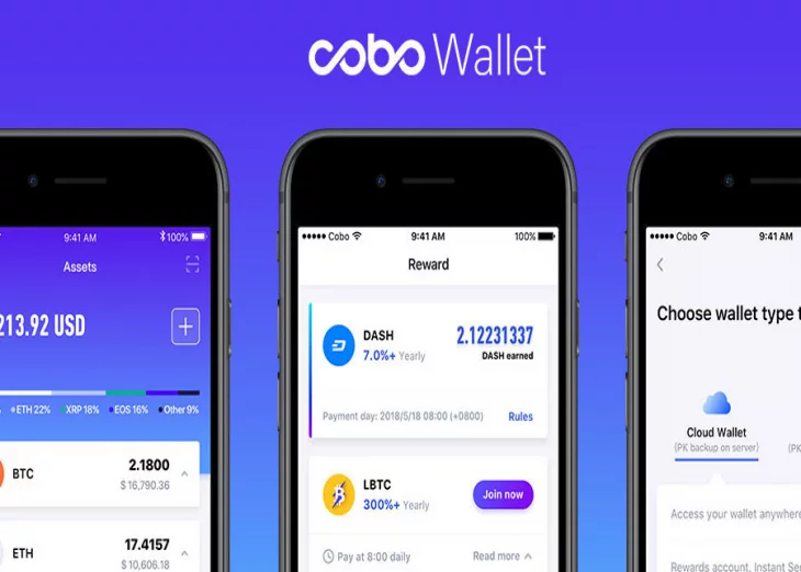 Cobo crypto wallet gets $13 million investment to expand, adds cold storage