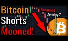 Bitcoin Shorts MOON As Bitcoin Continues To Rally!
