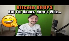 HUGE BITCOIN DUMP | HE PREDICTED THIS | What People Are Saying