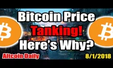 FORBES: The Bitcoin Price Is Tanking -- HERE'S WHY!? [Cryptocurrency Daily News]