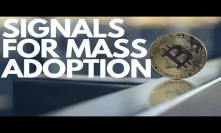 Top Reasons for Bitcoin MASS Adoption! Bullish Signs for BTC - Bitcoin News