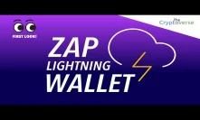 My Experience: Zap Bitcoin Lightning Wallet App ⚡