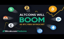 Upcoming Bull Run: Altcoins Will Boom as BTC Fees Skyrocket! - Bitcoin.com Features