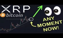 BE PREPARED: XRP/RIPPLE ON THE VERGE OF BREAKOUT | VOLUME IS ABOUT TO FLOOD IN! | PRICE SURGE