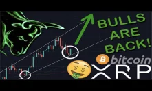 ITS OFFICIAL! BULLS ARE BACK! | XRP/RIPPLE & BITCOIN JUST HIT THE BOTTOM | WHAT'S NEXT IS SHOCKING