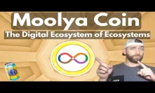 Moolyacoin- A Platform for the Digital Startup Ecosystem!