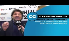 Alexander Shulgin: Bitcoin SV shares same vision with the enterprises