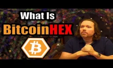 Exposed: Why Richard Heart’s Bitcoin Hex Is A Scam? What is it? [Cryptocurrency Review]