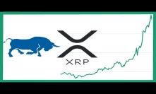 Ripple XRP leads Crypto Market Rally - xRapid Testing - Binance CEO - US Congressman Crypto Bill