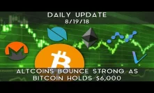 Daily Update (8/19/18) | Altcoins rebound strong as bitcoin holds $6,000