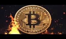 Burning Bitcoins, XRP CoinGate, Gold StableCoin, MIT BTC EXPO & Harsh Crypto Regulations In Effect