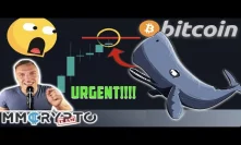 URGENT UPDATE!!!! EXTREEEME BITCOIN MOVE IS IMMINENT RIGHT NOW!!!!!!!! [Here is the Whales Plan...]